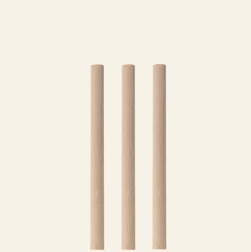 Bamboo - Straws